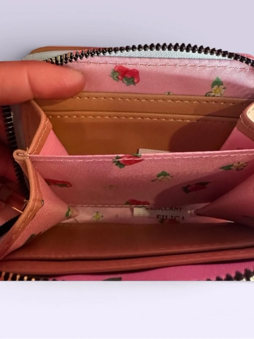 Strawberry Shortcake Wallet NWT